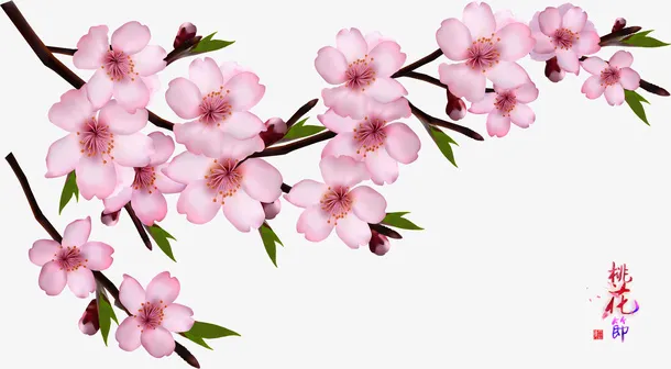 春天桃花节桃花图案免抠