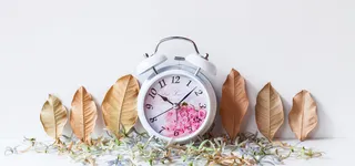 静物背景图高清