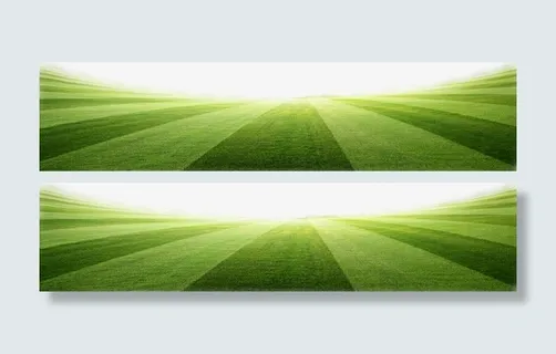 条纹草地足球场欧洲杯免抠