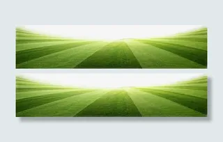 条纹草地足球场欧洲杯免抠