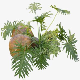 绿色树木元素免抠