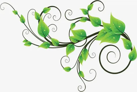 绿色清新花藤植物免抠