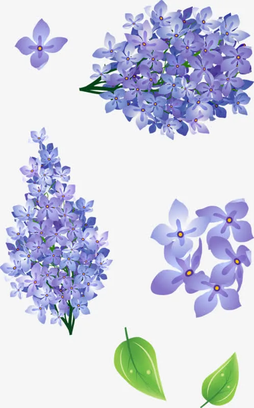 卡通手绘紫色花朵免抠