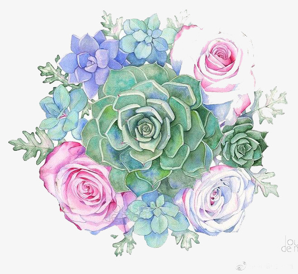 水彩鲜花免抠