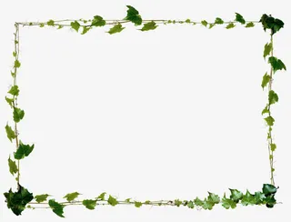 绿色春天植物景观边框免抠