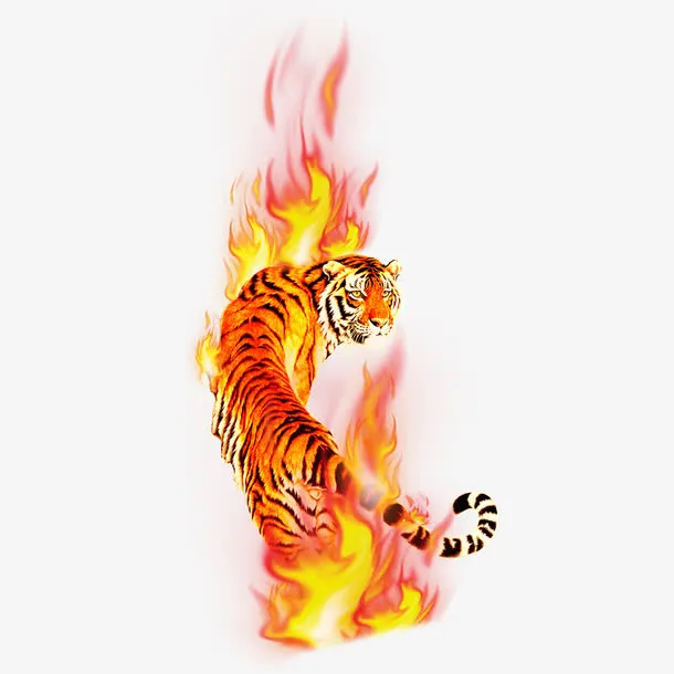 超炫超漂亮的老虎背影免抠