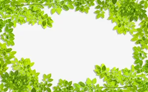 绿色树叶边框免抠