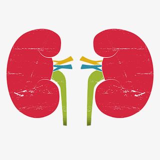 不规则图形红色肾设计素材免抠