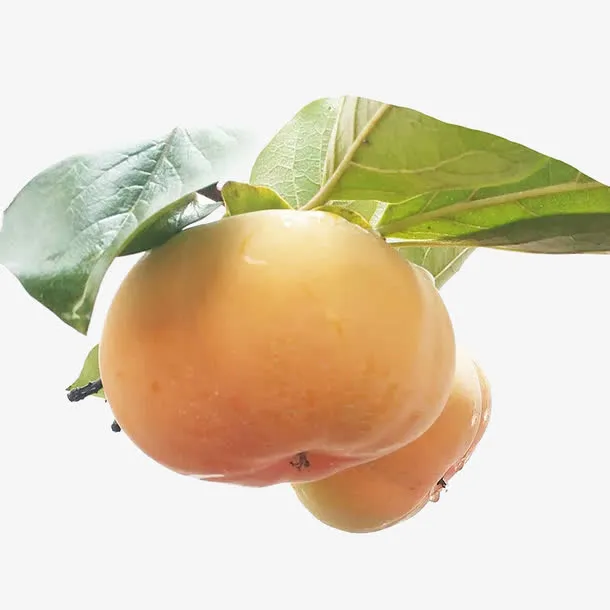 柿子免抠素材免抠