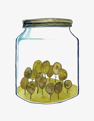 矢量瓶子森林免抠