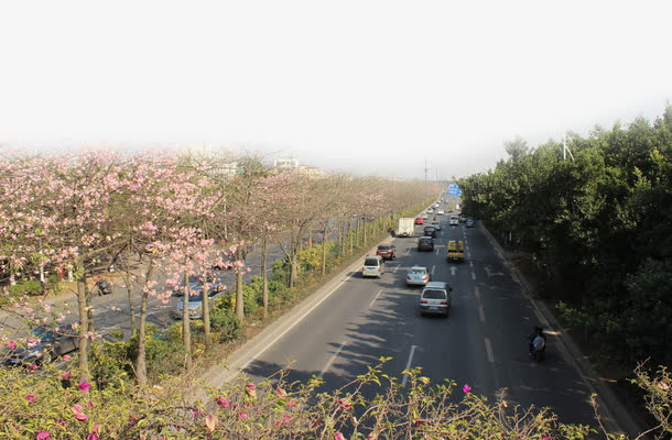美丽的广州免抠