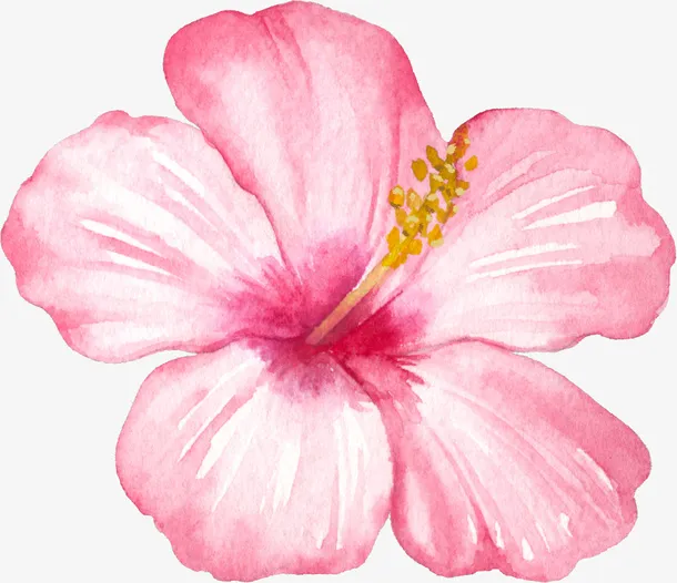 手绘卡通装饰花瓣花草装饰海报设免抠