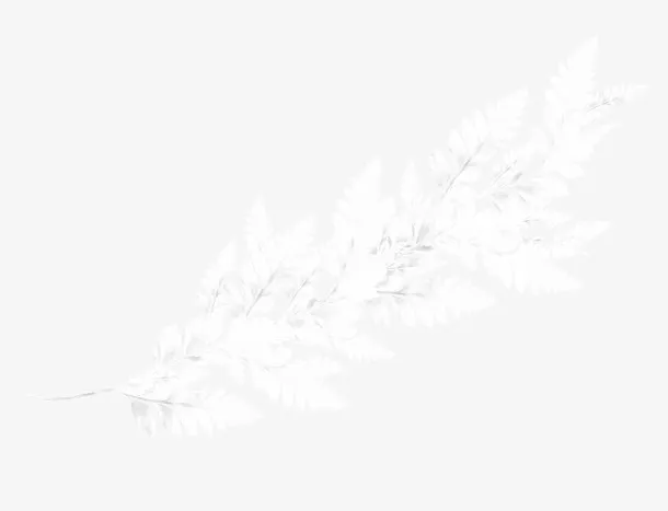 白雪树枝免抠