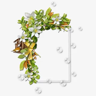 花框 鲜花免抠