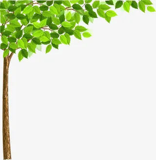 高清摄影手绘绿色树枝树叶免抠