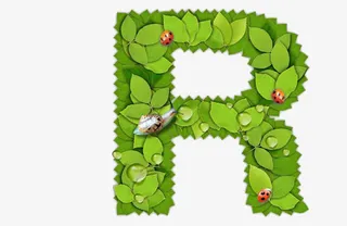 绿叶R免抠