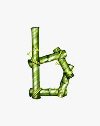 竹子字母b免抠