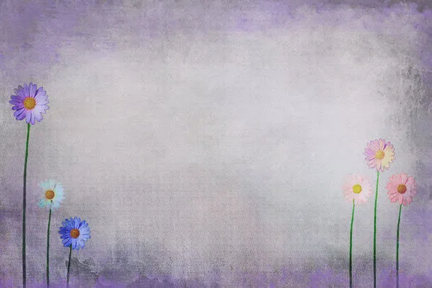 美丽菊花背景边框