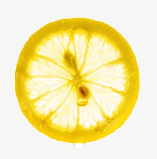 柠檬片特写免抠