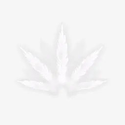 羽毛扩张效果元素免抠