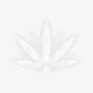 羽毛扩张效果元素免抠