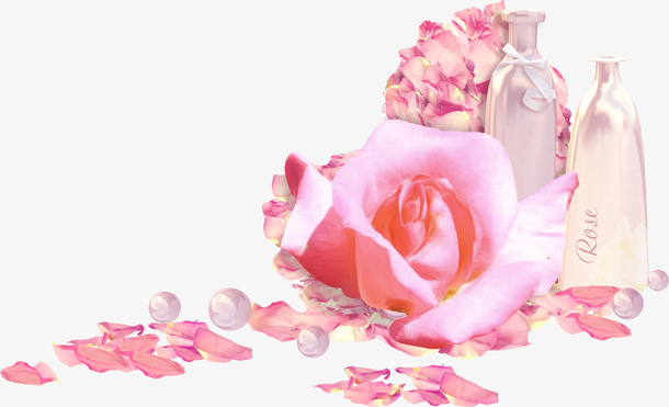 鲜花免抠