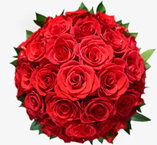 红色玫瑰花束免抠