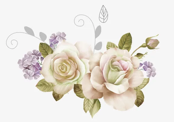白色玫瑰花免抠