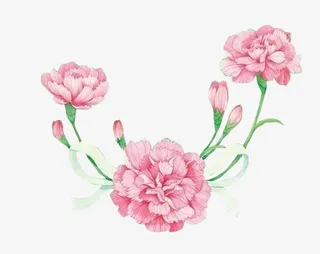 鲜花矢量素材手绘花朵 卡通手绘免抠