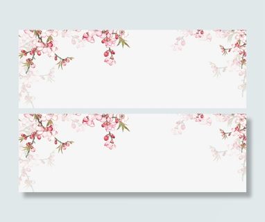 海报banner 樱花春节浪漫