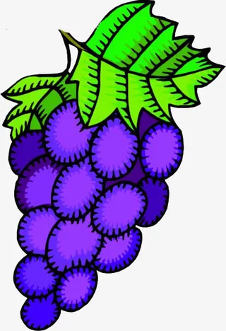 一串手绘葡萄免抠