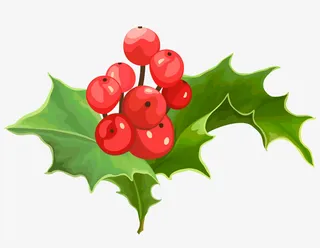 绿叶上的红果子免抠