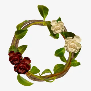 玫瑰花环免抠
