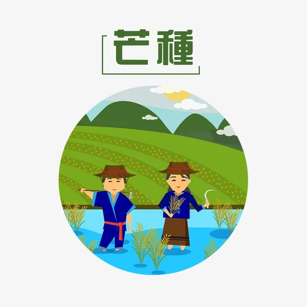 二十四节气芒种稻田素材免抠