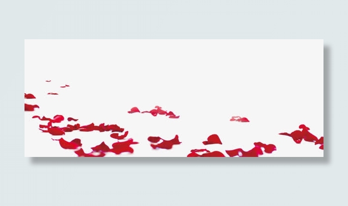 玫瑰花瓣素材免抠