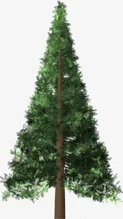 圣诞树喜迎圣诞节节日氛围免抠