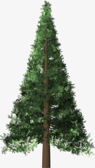 圣诞树喜迎圣诞节节日氛围免抠