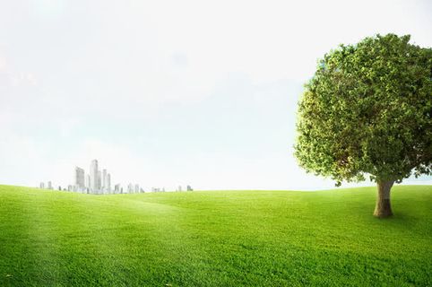 阳光照射草地免抠