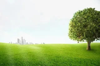 阳光照射草地免抠