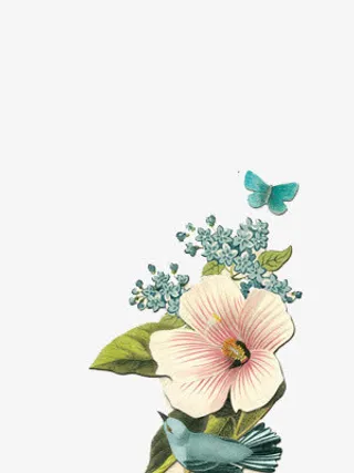 卡通鲜花图片植物花卉素材免抠