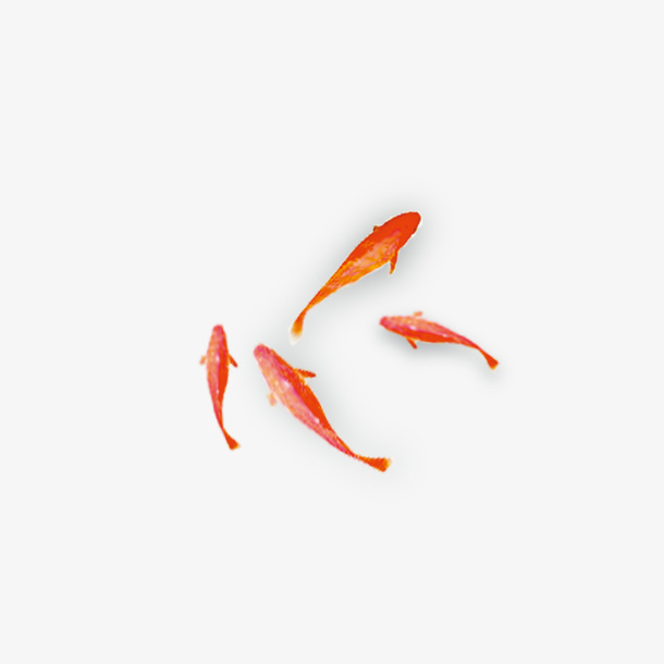 中国风金鱼1免抠