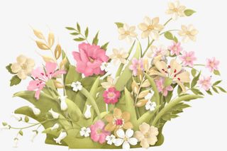 草丛花丛免扣素材免抠