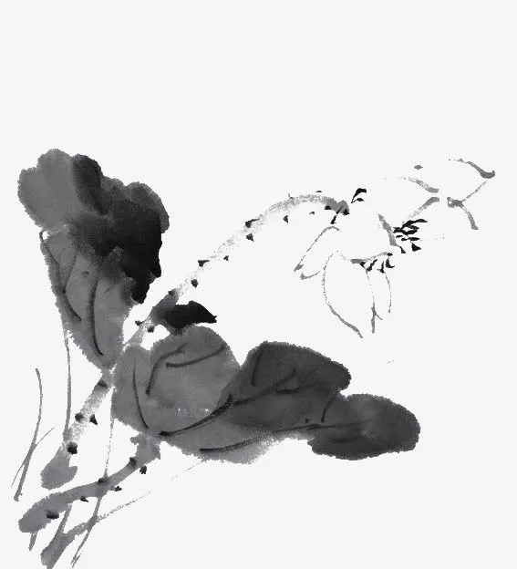 国画水墨荷花荷叶免抠