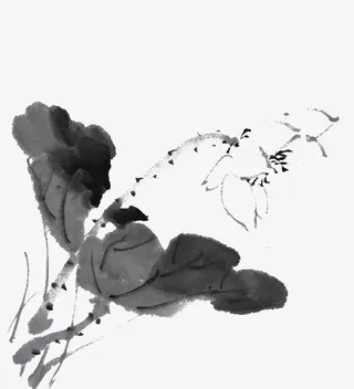 国画水墨荷花荷叶免抠