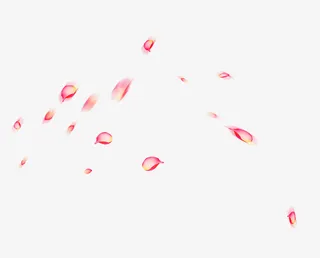 漂浮花瓣免抠