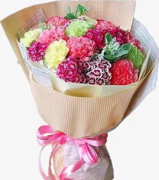 康乃馨花瓣花朵免抠