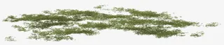 草甸png素材免抠
