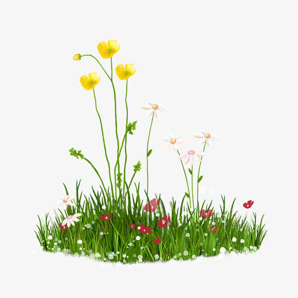 花草地免抠