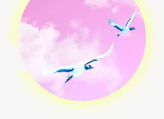 粉色月亮仙鹤中秋免抠