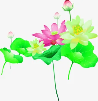 摄影夏日手绘绿色荷叶莲花免抠